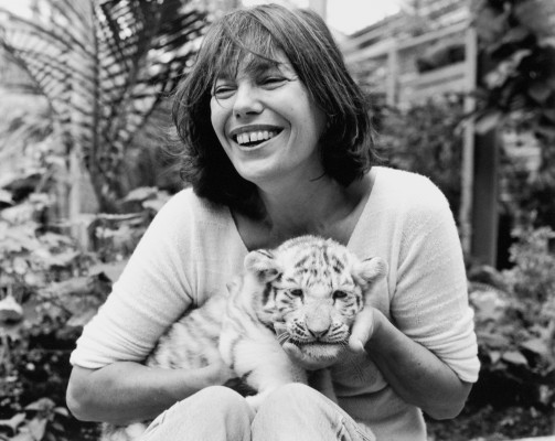 photo 20 in Birkin gallery [id634710] 2013-09-24 00:00:00