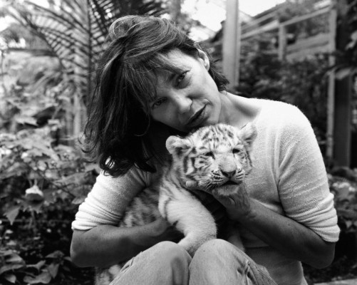 photo 27 in Birkin gallery [id469072] 2012-04-01 00:00:00