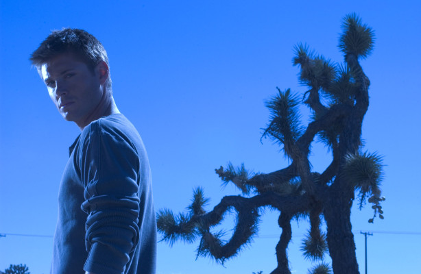Jensen Ackles pic #385479