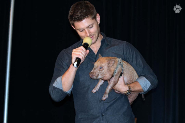 Jensen Ackles pic #639133