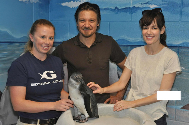 Jeremy Renner pic #670657