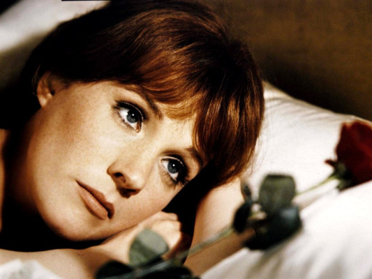 photo 29 in Julie Andrews gallery [id233960] 2010-02-08 00:00:00