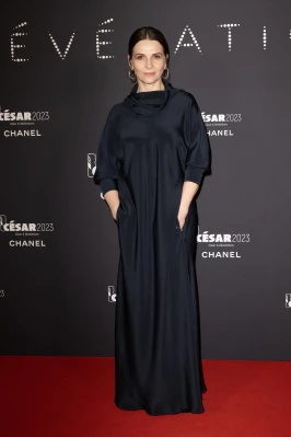 photo 11 in Binoche gallery [id1321546] 2023-02-10 00:00:00