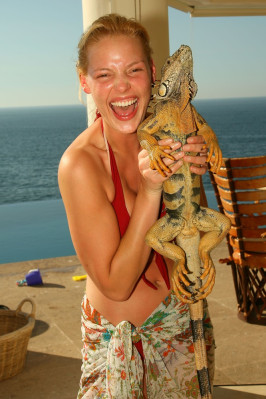 Katherine Heigl pic #69841