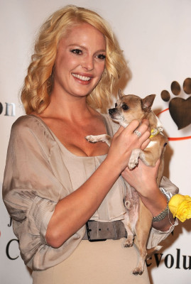 Katherine Heigl pic #291682