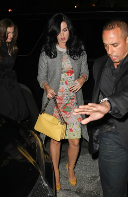 Katy Perry pic #545210