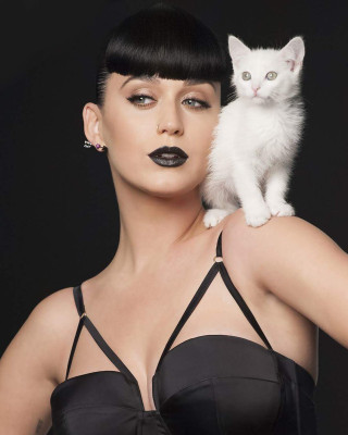Katy Perry pic #866768