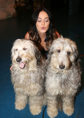 Katy Perry pic #793614