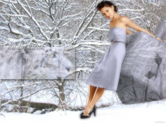 Kristin Kreuk pic #39418