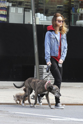 Leighton Meester pic #690093