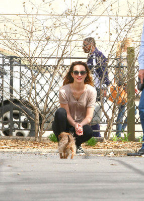Leighton Meester pic #691545
