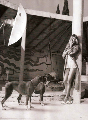 photo 20 in Malgosia gallery [id352014] 2011-03-07 00:00:00