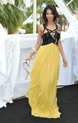 photo 24 in Mallika Sherawat gallery [id321576] 2010-12-29 00:00:00