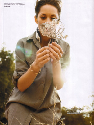 Marion Cotillard pic #363700