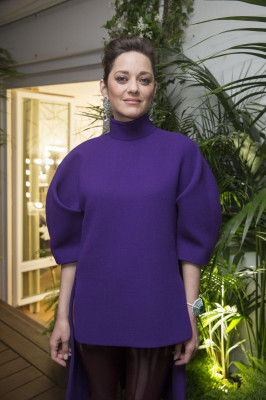 Marion Cotillard pic #853017