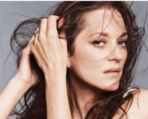 Marion Cotillard pic #1260984