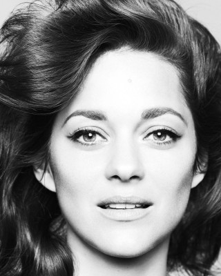 Marion Cotillard pic #704643