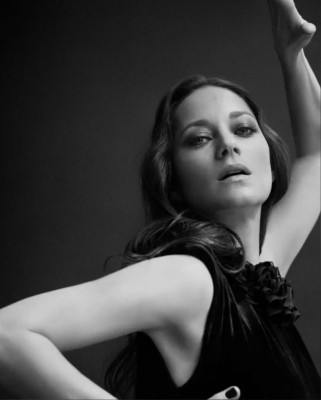 Marion Cotillard pic #1259683