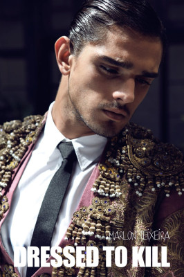 photo 8 in Marlon Teixeira  gallery [id437065] 2012-01-23 00:00:00