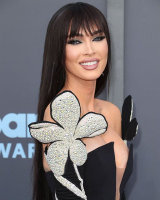 photo 5 in Megan Fox gallery [id1372332] 2025-05-31 00:00:00