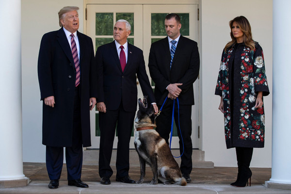 Melania Trump pic #1195850