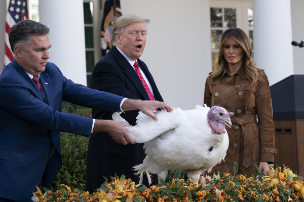 Melania Trump pic #1195846