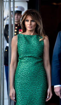 Melania Trump pic #1045970