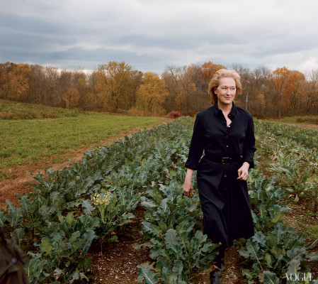 Meryl Streep pic #435538