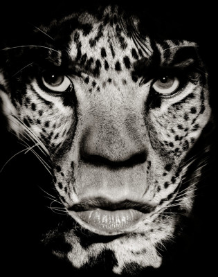photo 4 in Mick Jagger gallery [id274797] 2010-08-05 00:00:00
