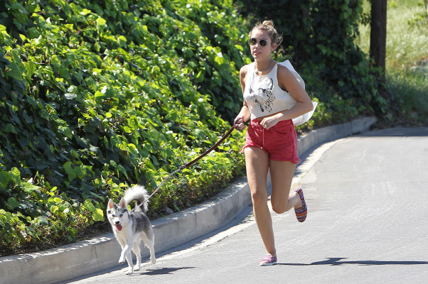 Miley Cyrus pic #456760