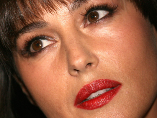 Monica Bellucci pic #56401