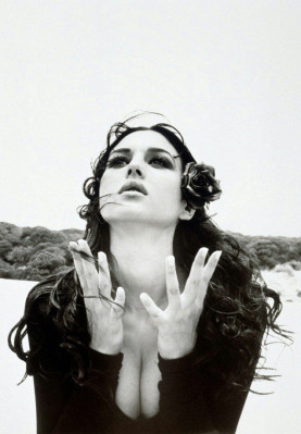 Monica Bellucci pic #1307249