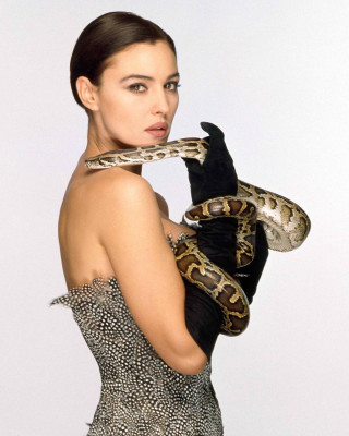 Monica Bellucci pic #1256550