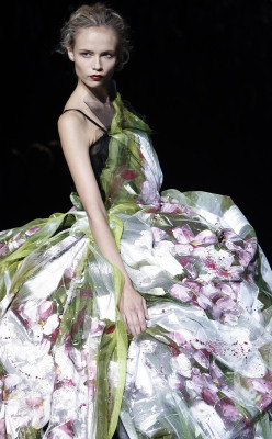 Natasha Poly pic #275307