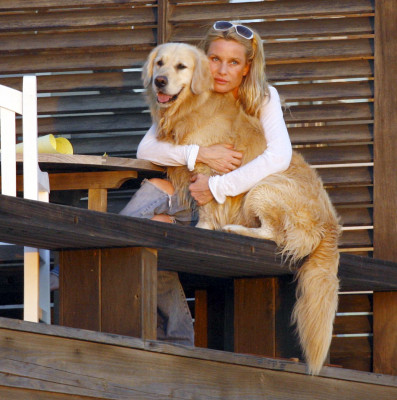 Nicolette Sheridan pic #257482