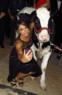 Nikki Reed pic #725781
