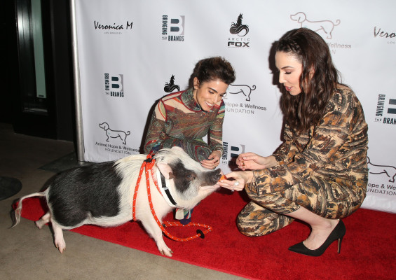 Nikki Reed pic #1112251