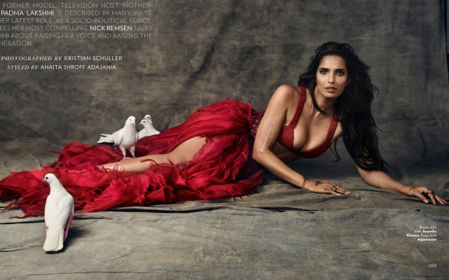 photo 15 in Padma Lakshmi gallery [id1130861] 2019-05-08 00:00:00
