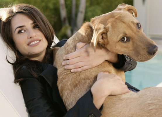 Penelope Cruz pic #84961