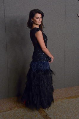 Penelope Cruz pic #1088933