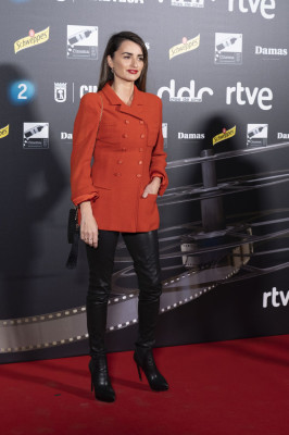 Penelope Cruz pic #1100352