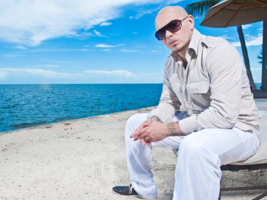 photo 5 in Pitbull gallery [id396637] 2011-08-09 00:00:00