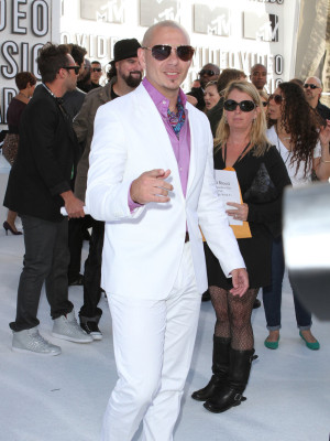photo 14 in Pitbull gallery [id396635] 2011-08-09 00:00:00