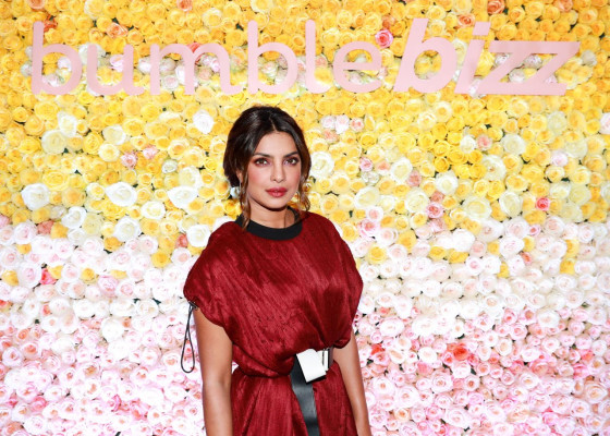 Priyanka Chopra pic #973017