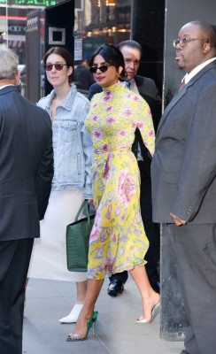 Priyanka Chopra pic #1032573