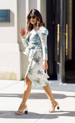Priyanka Chopra pic #1032064