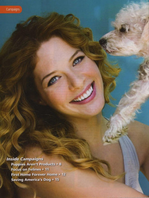 Rachelle Lefevre pic #246083