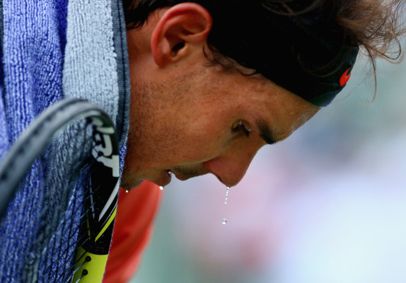 photo 13 in Nadal gallery [id686008] 2014-04-02 00:00:00