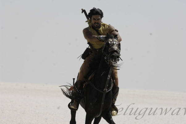 photo 24 in Ram Charan Teja gallery [id489517] 2012-05-16 00:00:00