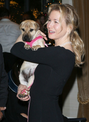 photo 7 in Renee Zellweger gallery [id986652] 2017-12-06 00:00:00